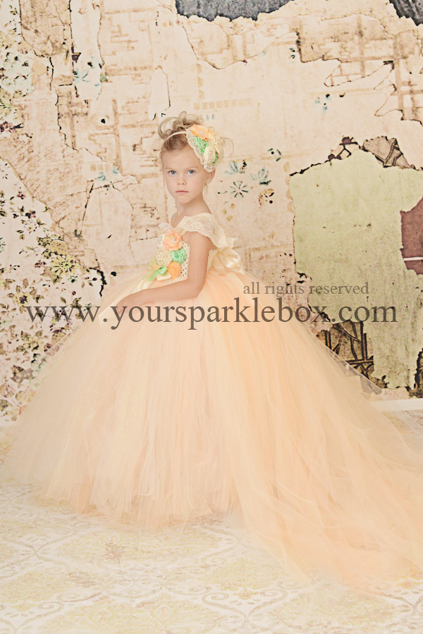 Peach and Mint Perfection Tutu dress